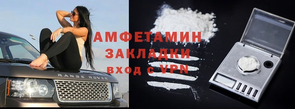 твердый Лиски