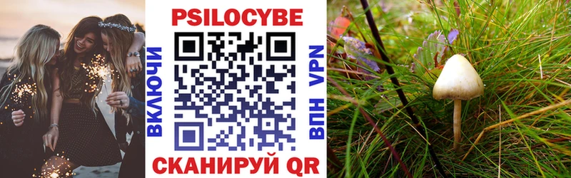 Галлюциногенные грибы Magic Shrooms сайты даркнета официальный сайт Медвежьегорск