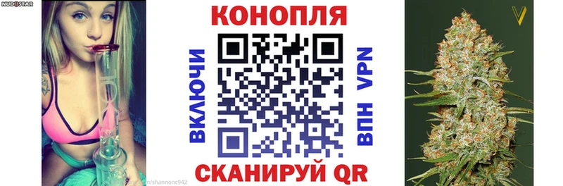 где купить   Медвежьегорск  Марихуана индика 